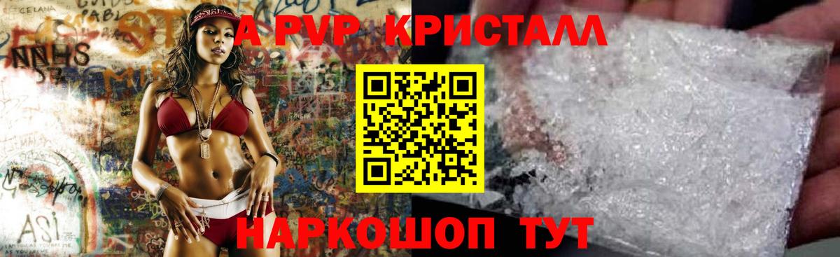 A-PVP СК КРИС Волгоград