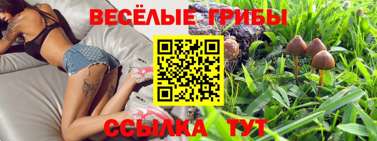 Волгоград  Псилоцибиновые грибы прущие грибы  Вход с VPN 